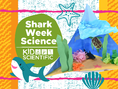 Kidcreate Studio - Ashburn. Shark Week Science Workshop (5-12 Years)